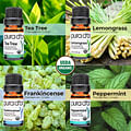 essential oils assortment