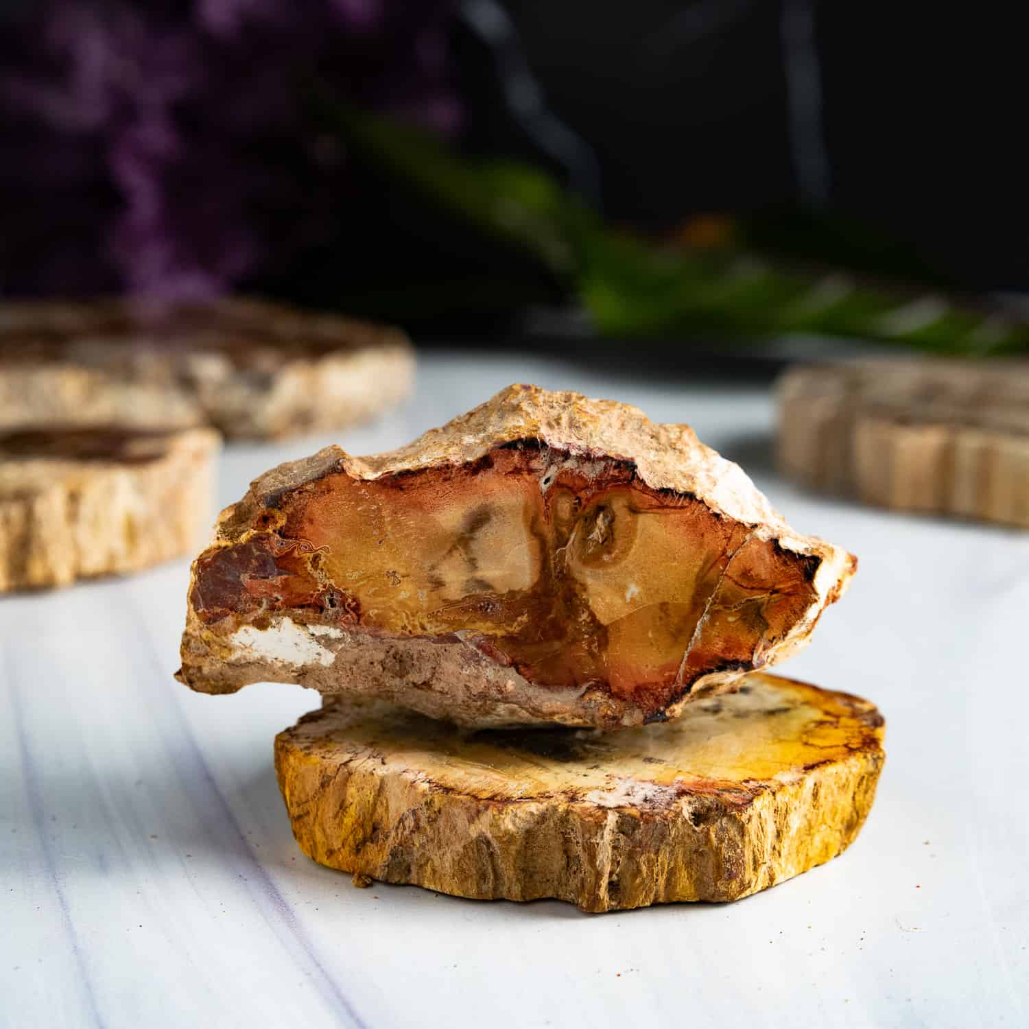 Petrified Wood crystal