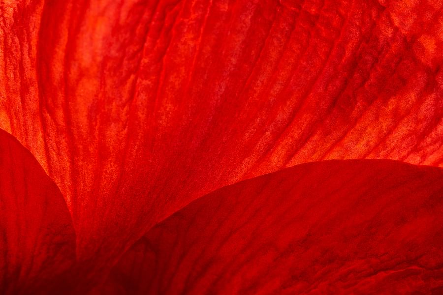 Person holding a vibrant red crystal symbolizing energy, passion, and strength